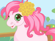 play Cutie Pony Care