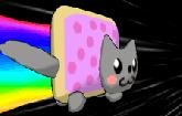 play Nyan Cat 3D