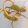 play Twin Cameleon Slide Puzzle