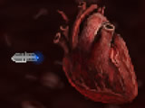 The Last Heart game