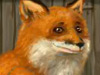 play Foxy Fox