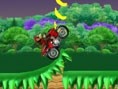 Donkey Kong Atv game
