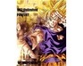 play Dragon Ball Z Ultimate Adventure