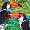 play Parrots In The Jungle Puzzle