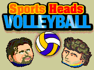 Sports Heads: Volleyball