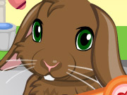 play Pet Bunny Kissing