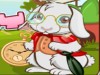 play Pet Bunny