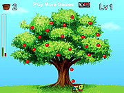 play Catch The Sweet Apples