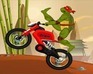 play Ninja Turtle Stunts