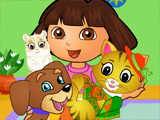 Dora Pets Care