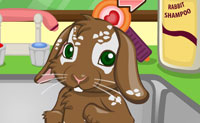 play Pet Bunny