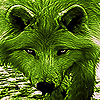 play Native Green Wolf Slide Puzzle