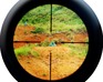 play Circle Shooter 2