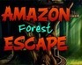 play Amazon Forest Escape