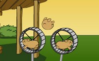 play Flight Of The Hamsters
