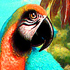 play Fantastic Red Parrots Puzzle