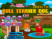 play Bull Terrier Dog