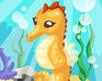 play Seahorse Care