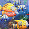 Colorful Deep Sea Fishes Slide Puzzle