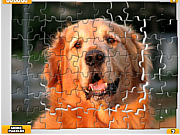 play Pet Puzzles: Dogs