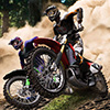 play Extreme Motocross Star