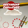 play Greyhound Challenge