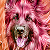 play Alone Dogs Running Puzzle