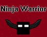 Ninja Warrior Platform