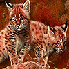 play Sweet Kittens Puzzle