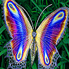 Flying Colored Wings Slide Puzzle
