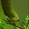 play Hungry Goldcrest Slide Puzzle