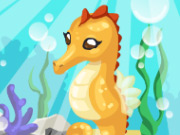 play Seahorse Care