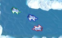 play Polar Bear Racing