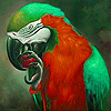 play Parrot In Tropical Island Puzzle