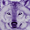 play Wild Colorful Wolves Puzzle