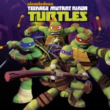 play Teenage Mutant Ninja Turtles. Mouser Mayhem!