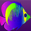 play Colorful Fish Slide Puzzle