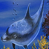 play Sweet Dolphins In The Ocean Puzzle