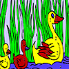 play Duck Family In The Lake Coloring