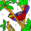 play Fly And Bird On The Tree Coloring