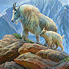play White Old Mountain Goat Slide Puzzle