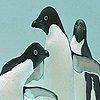 play Player Penguins Puzzle