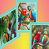 play Parrot Family In Forest Puzzle