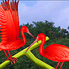 play Red Storks On The Leaf Puzzle