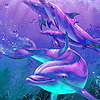 play Blue Dolphins Puzzle