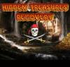 play Hidden Treasures Recovery