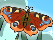 play Baby Butterfly Kissing