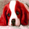 play Little Red Puppy Puzzle