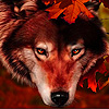 play Dogs In The Autumn Puzzle