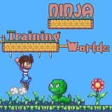 play Ninja Training Worlds